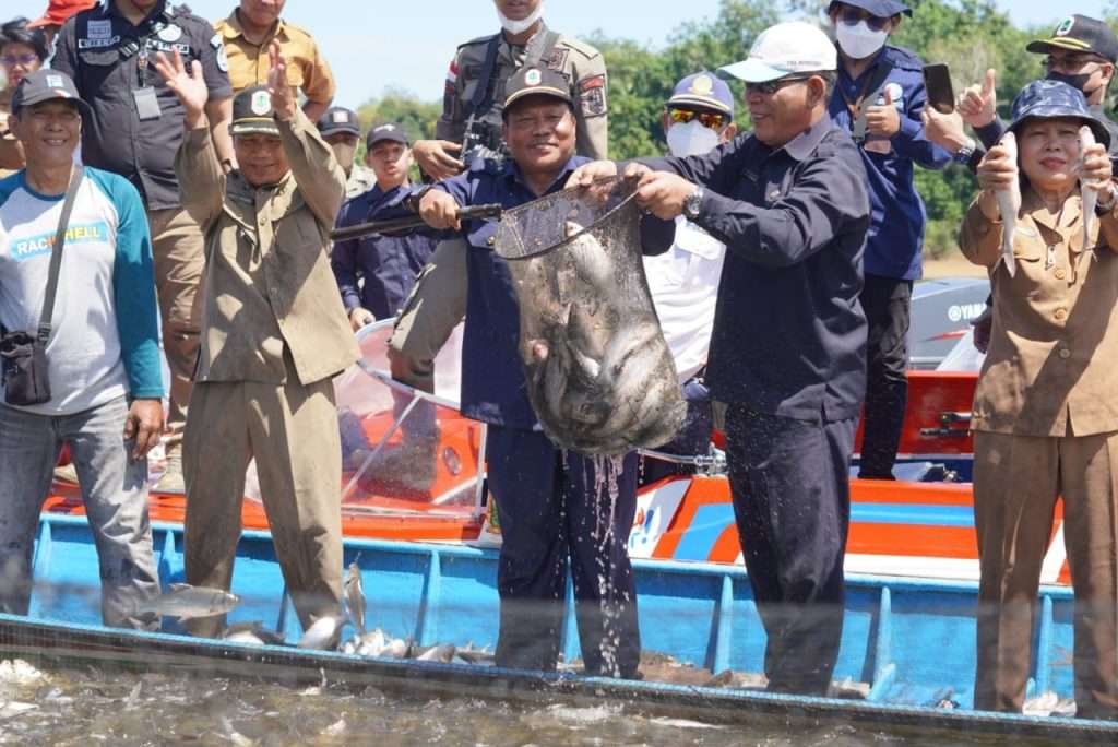 Sekretaris Daerah Kab Kapuas Hulu Mengikuti Panen Raya Ikan Konsumsi Di Desa Nanga Embaloh